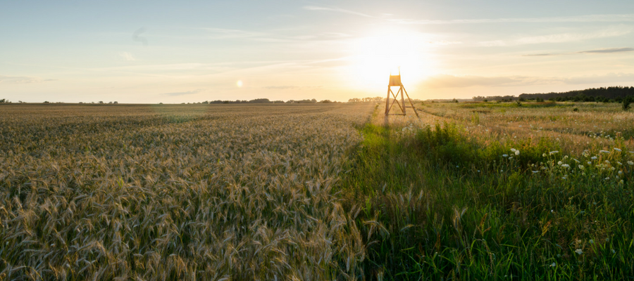 Copy of Providing Telepsychiatry Services in Rural Areas-4.png